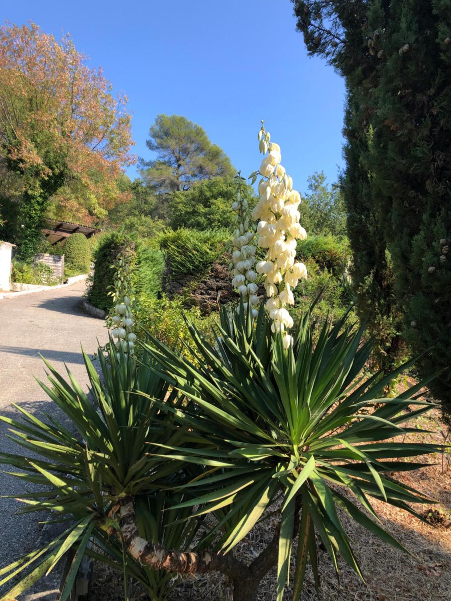 Domaine Double D Villa Cagnes-sur-Mer Exterior photo